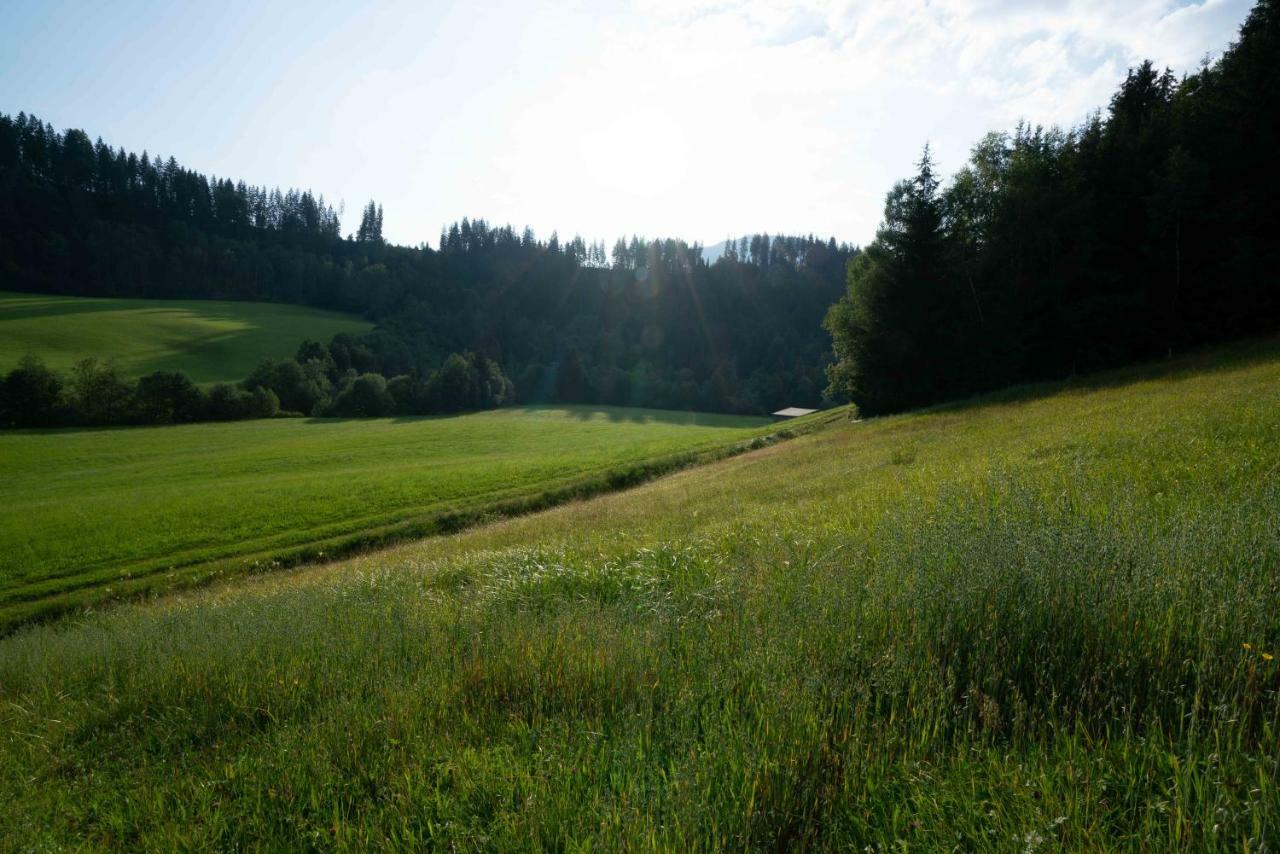 Вілла Getznerhof Вестендорф Екстер'єр фото